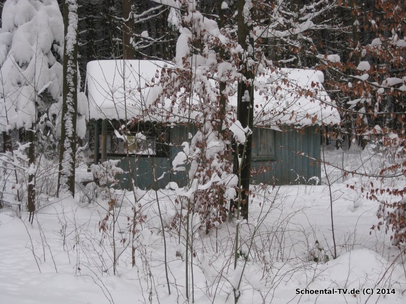 Schöntal TV Winterwald 04