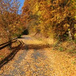 Herbstbild Schöntal