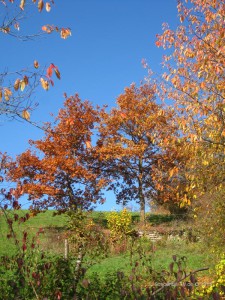 Schöntaler Herbstbilder 010