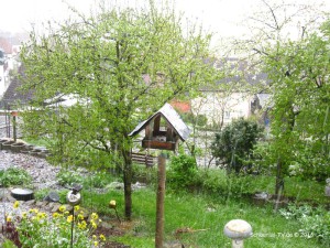 Aprilwetter 2016 Schöntal 07