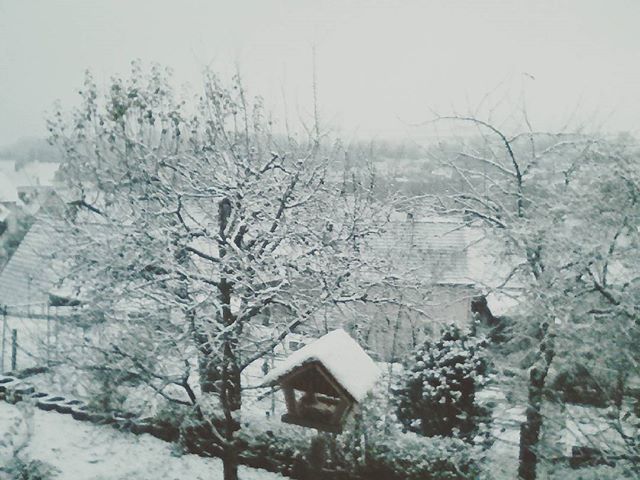 Es hat geschneit! #Schöntal #schnee